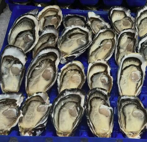 Fresh Tasmanian Fresh Oysters (1/2Doz)