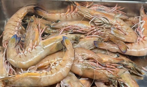 Australian King Prawns (500g)